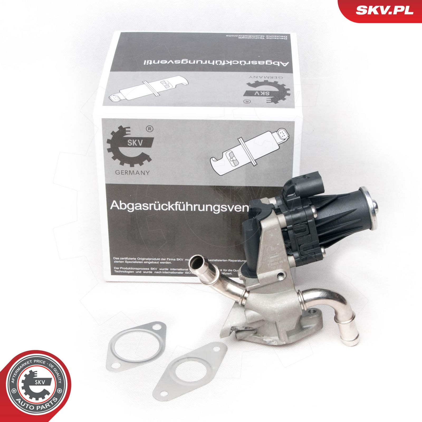 EGR Valve-5
