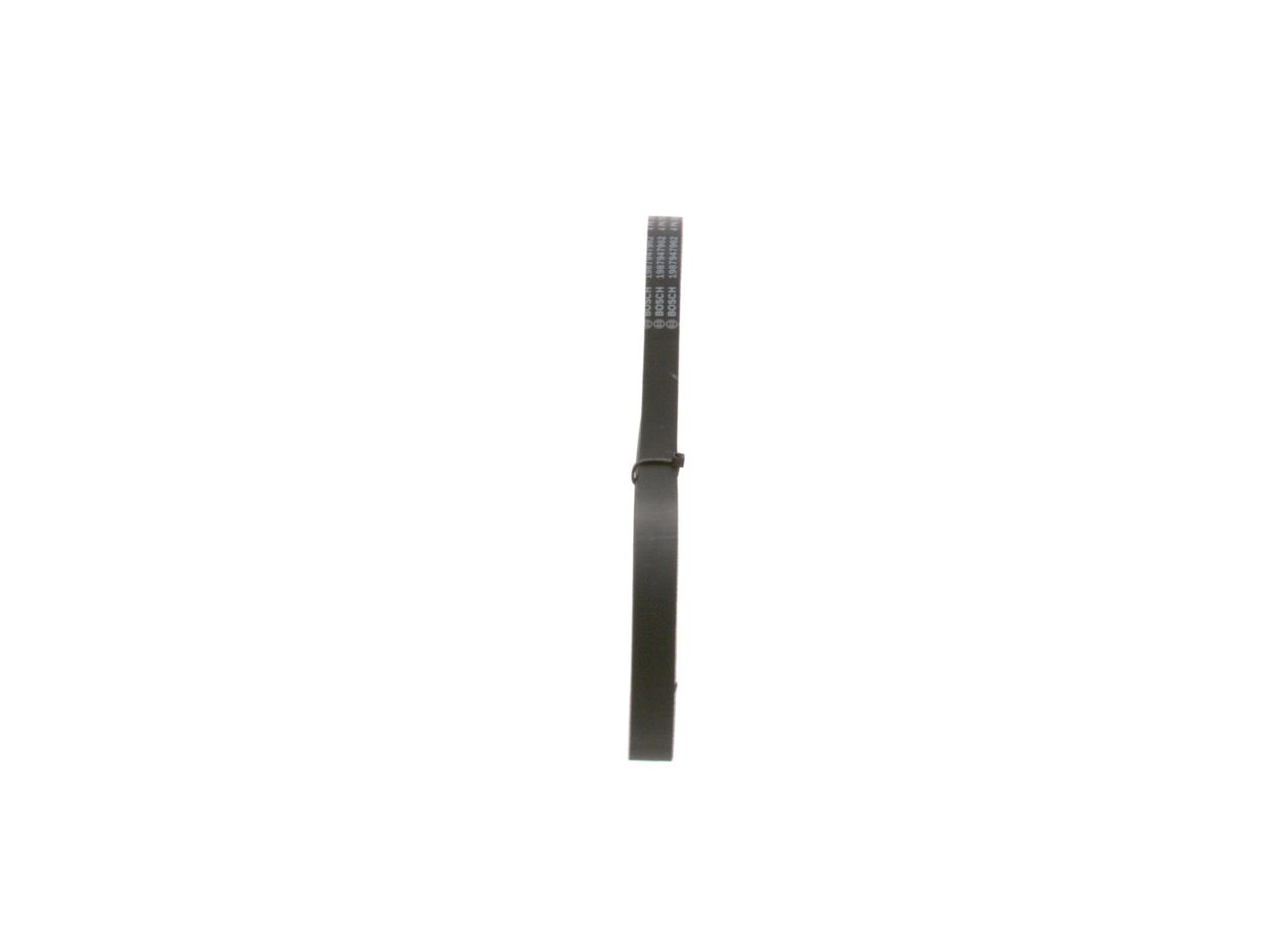 V-ribbed Belt-1