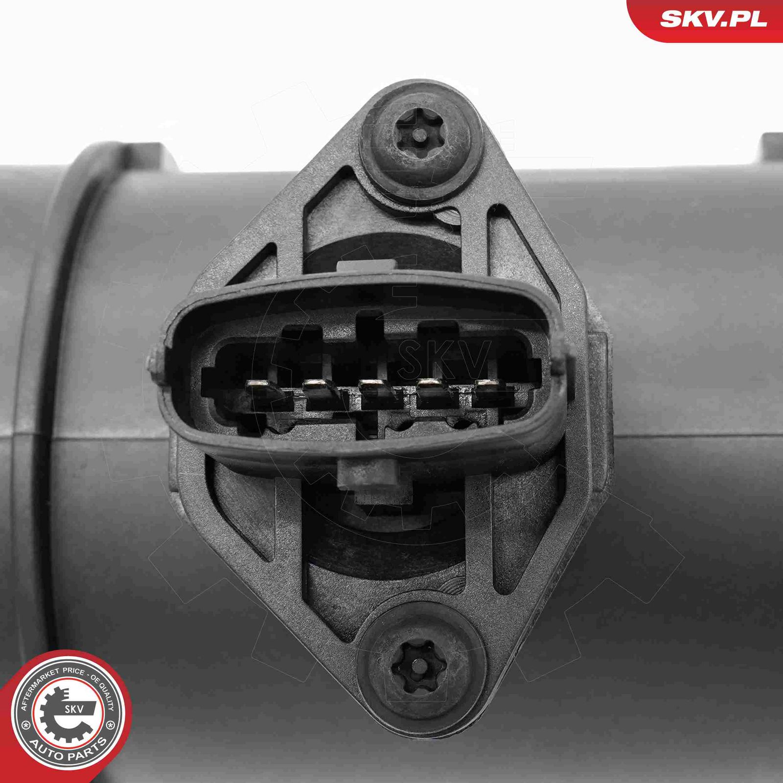 Mass Air Flow Sensor
