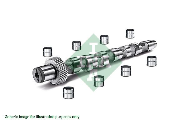 SCHAEFFLER INA 428 0022 30 Camshaft kit