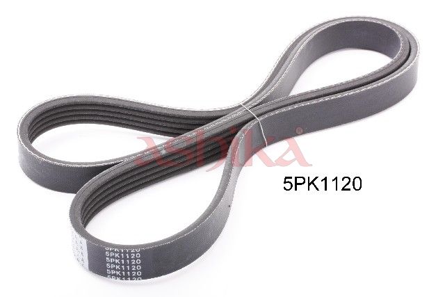 ASHIKA 112-5PK1120 V-ribbed belt