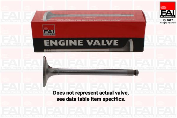 FAI AUTOPARTS IV341001 Intake valve