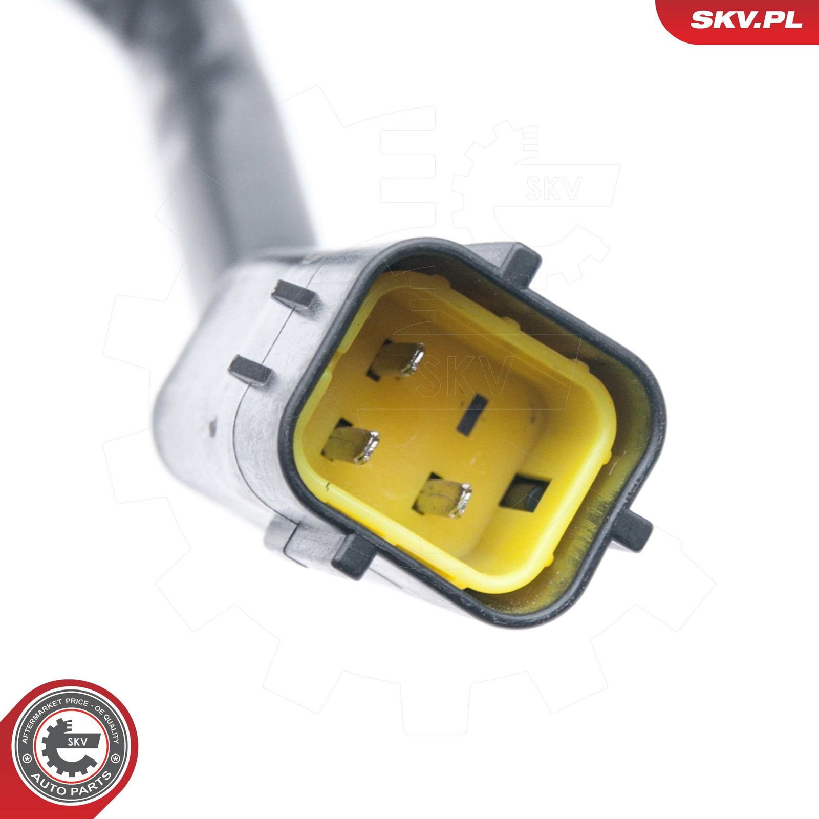 Oxygen Sensor-2