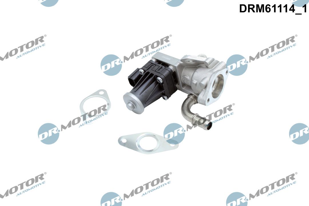 EGR Valve-2