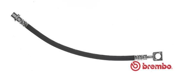 Brake Hose