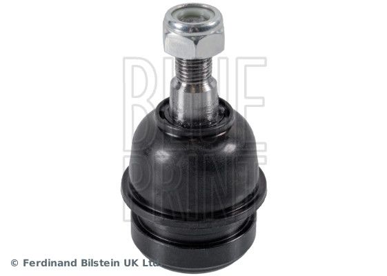 Šarnyras / girgždukas