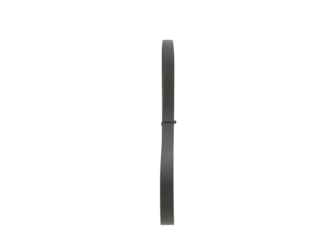 V-ribbed Belt-1