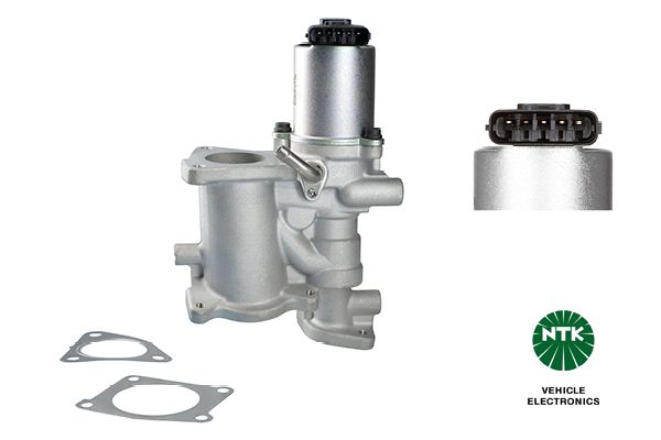 EGR Valve