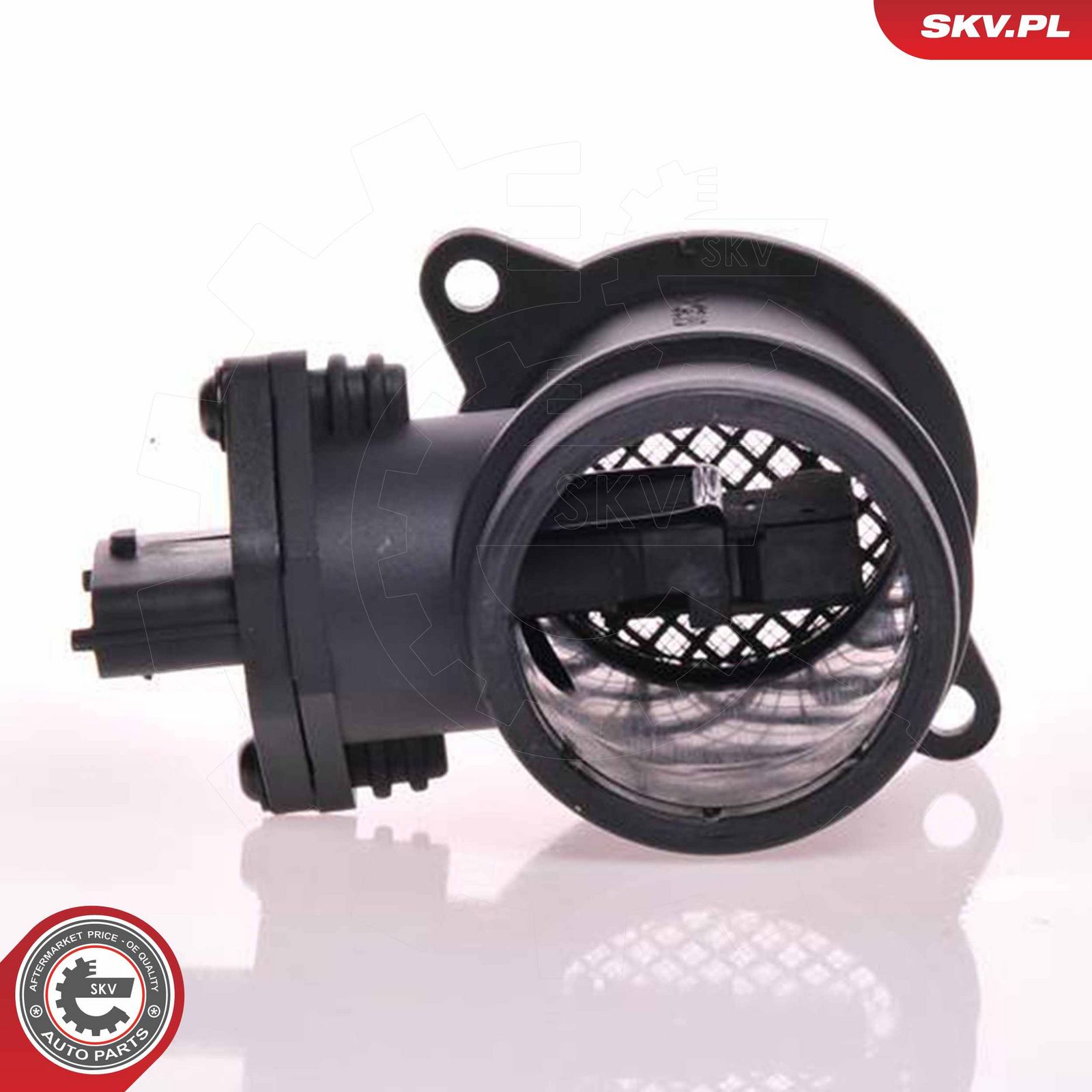 Mass Air Flow Sensor