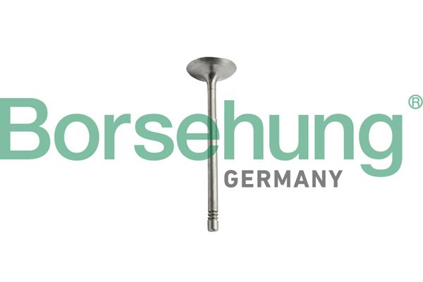 BORSEHUNG B10344 Exhaust valve
