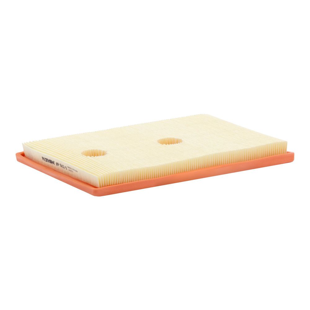 FILTRON AP 062/1 Air filter