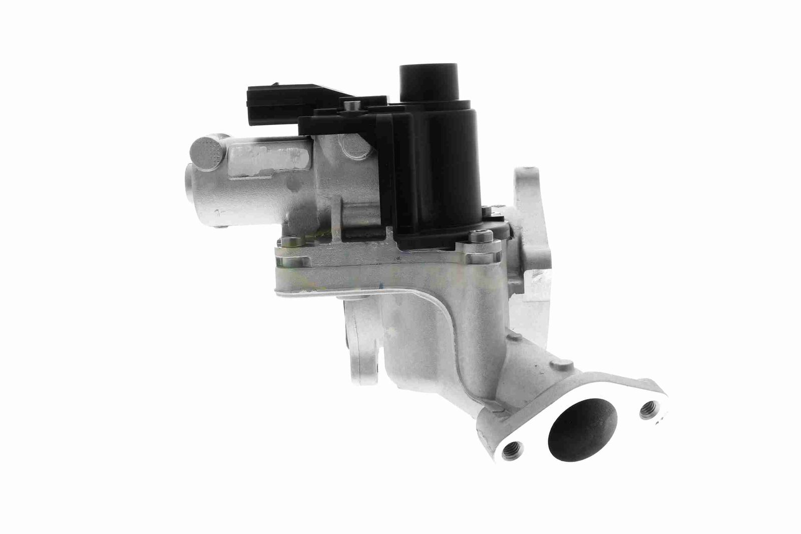 EGR Module-7