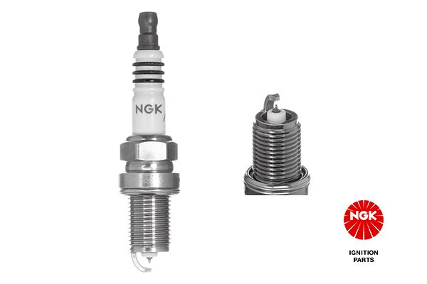 NGK 5690 Spark plug