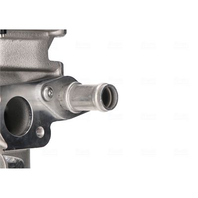 EGR Module-6