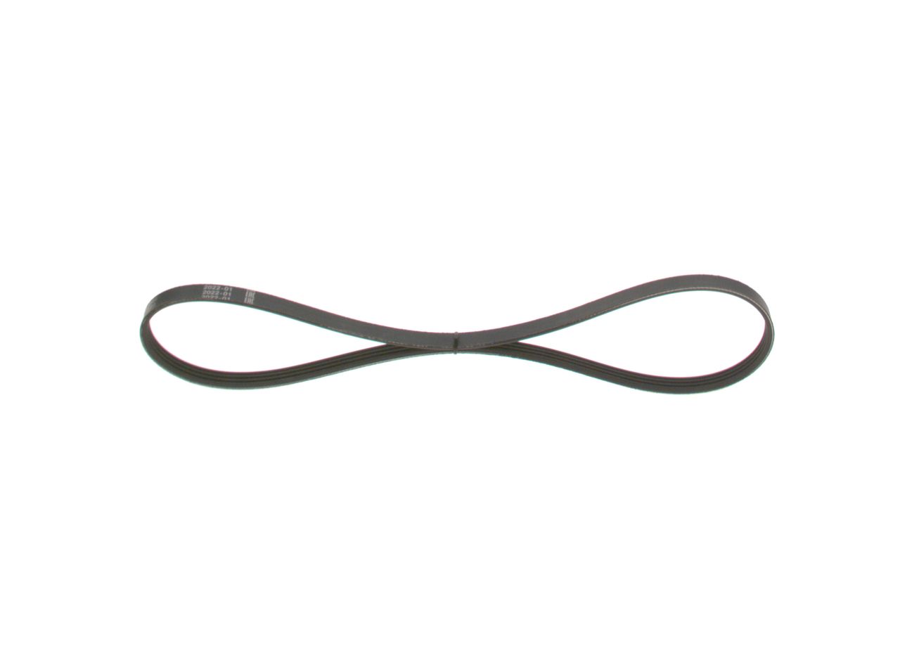 V-ribbed Belt-2