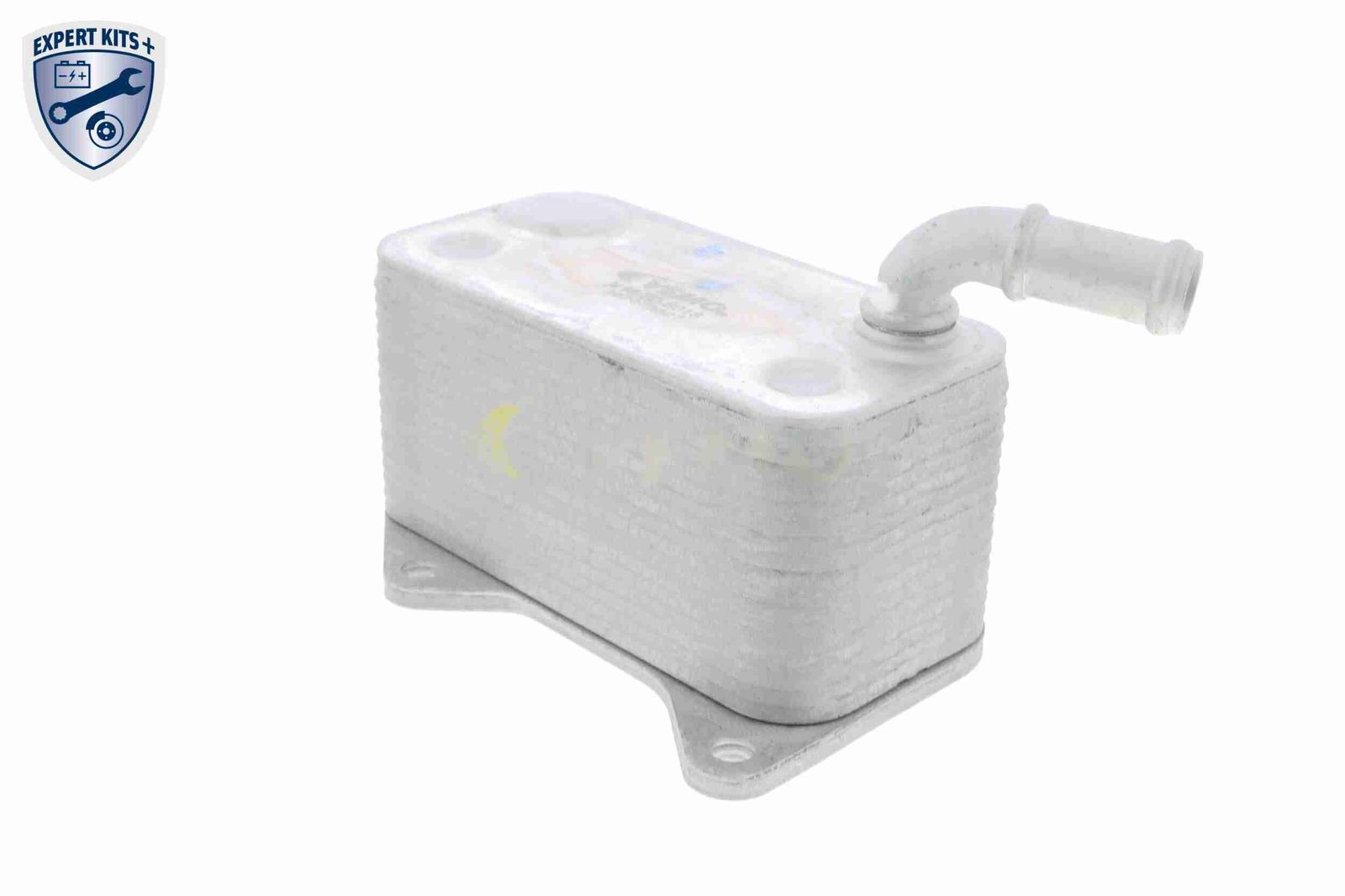 Oil Cooler, engine oil-7