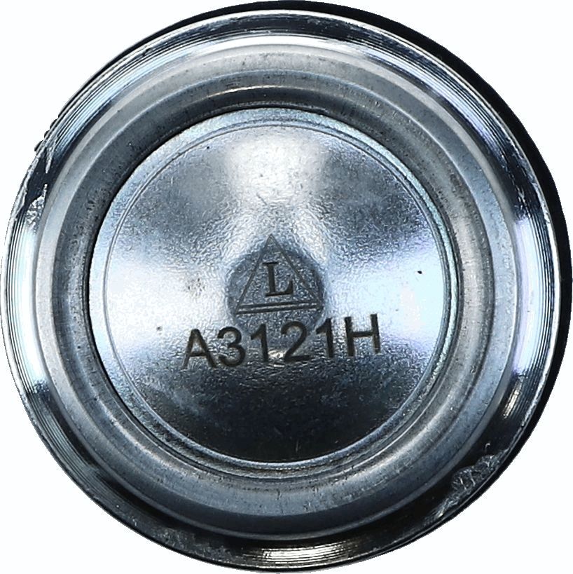 Šarnyras / girgždukas-1