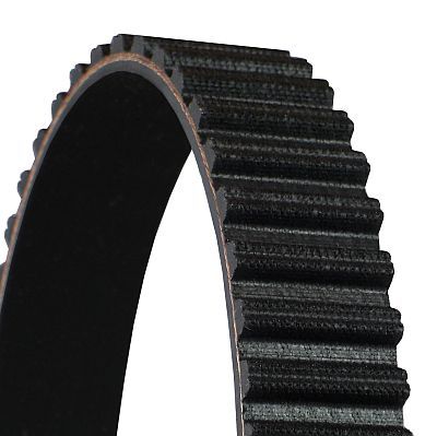 Timing Belt-1