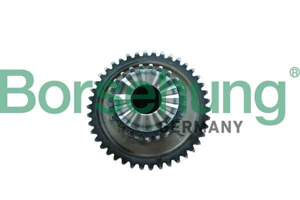 BORSEHUNG B12746 Timing chain