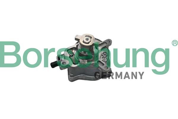BORSEHUNG B18774 Vacuum pump, braking system