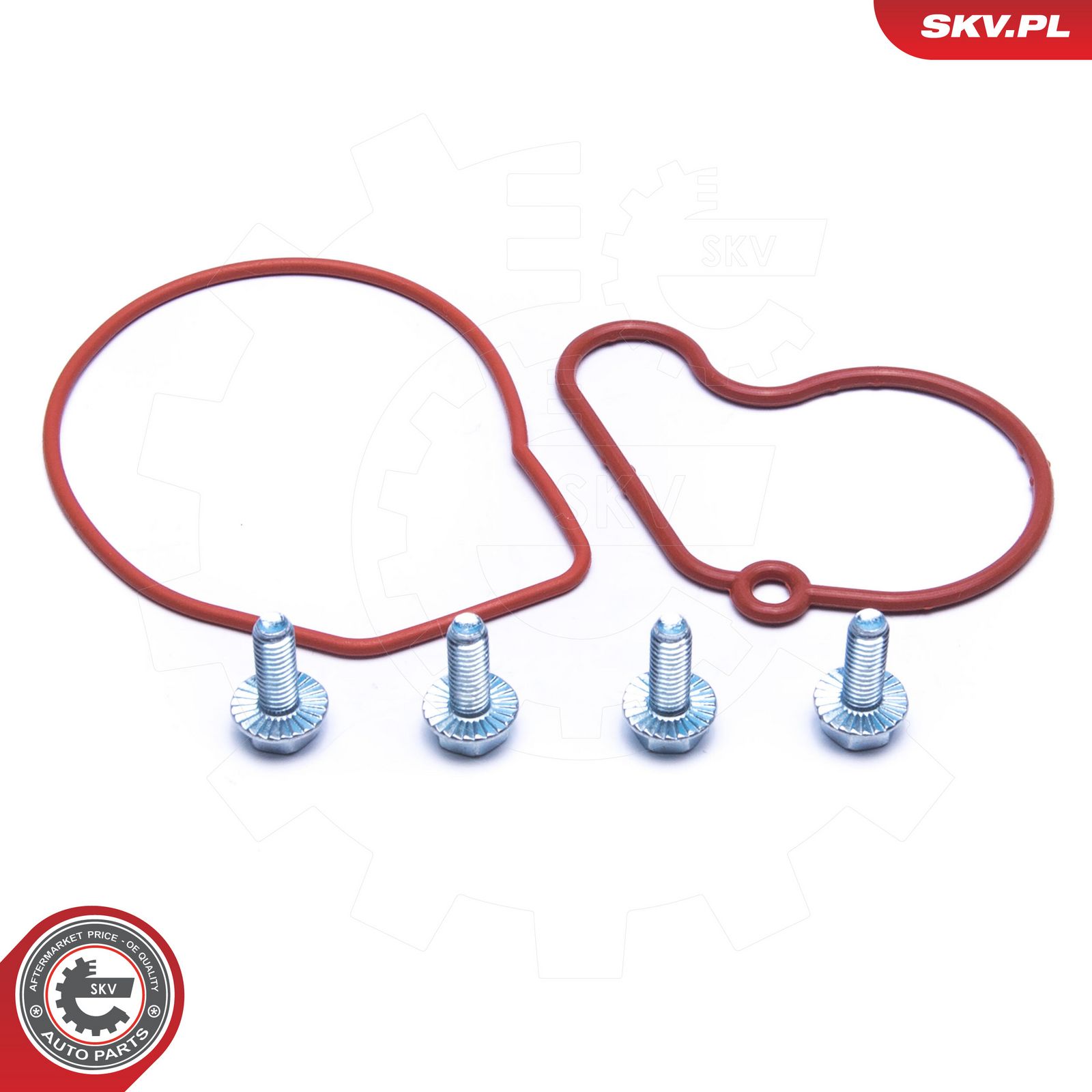ESEN SKV 18SKV807 Repair set, vacuum pump (braking system)