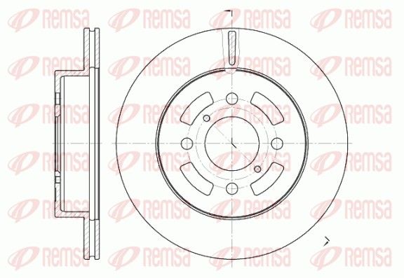 REMSA 6642.10 Brake disc