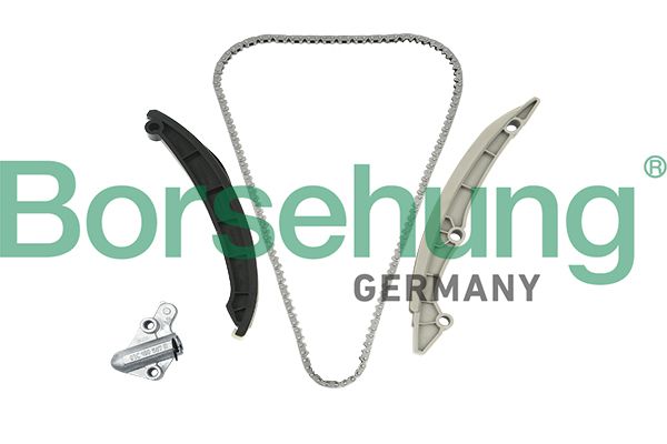 BORSEHUNG B18982 Timing chain kit