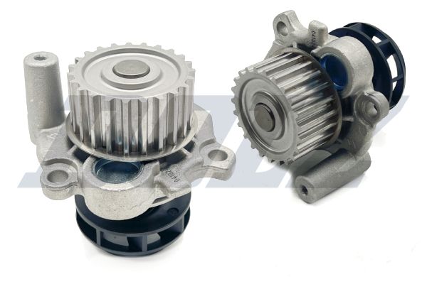 DOLZ A186 Water pump, engine cooling