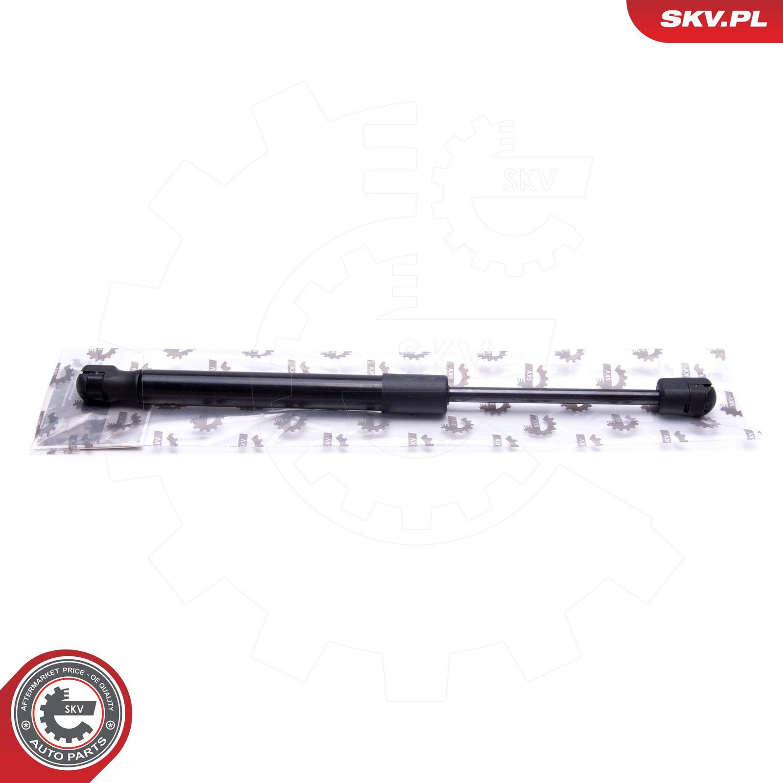 Gas Spring, boot/cargo area