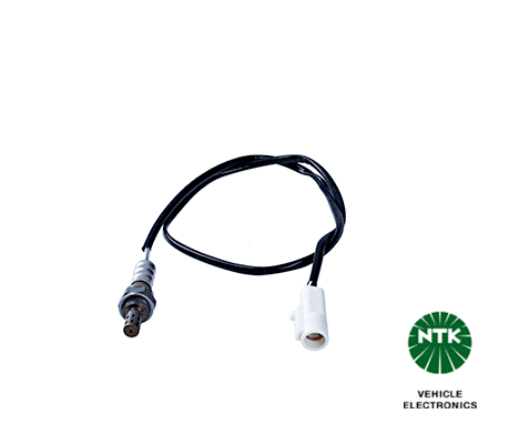Oxygen Sensor-1