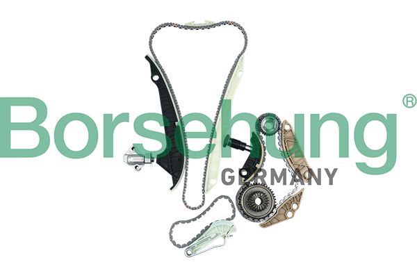 BORSEHUNG B16298 Timing chain kit