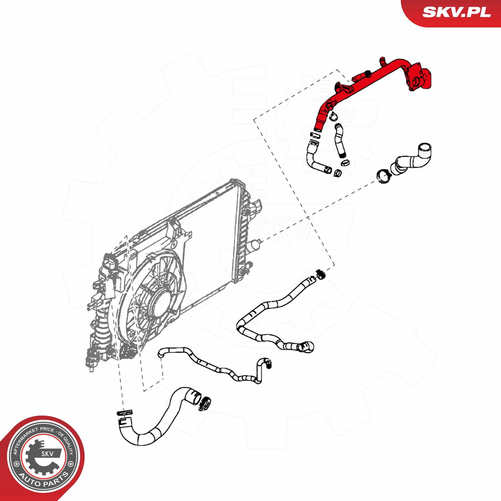 Radiator Hose-1
