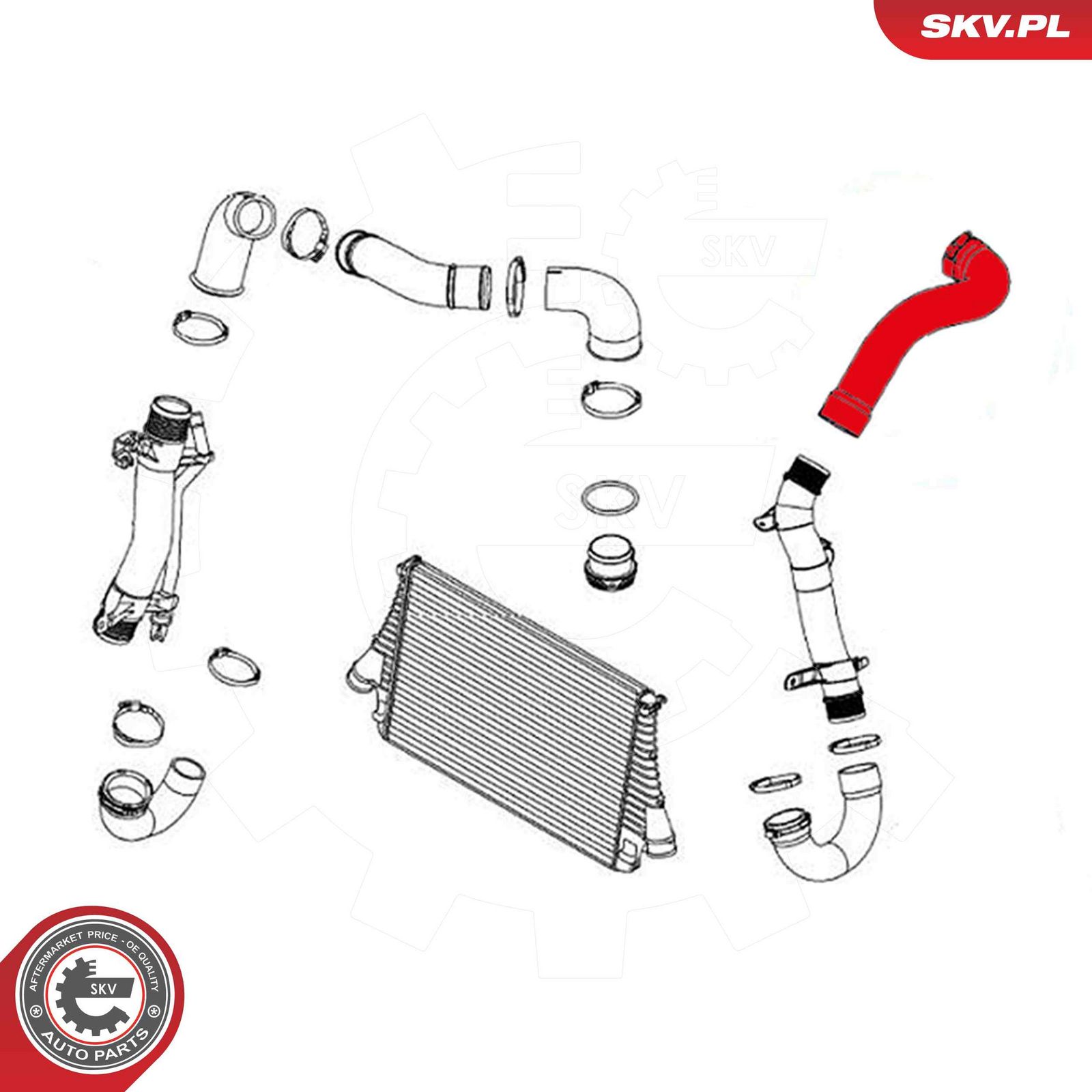 Charge Air Hose-2