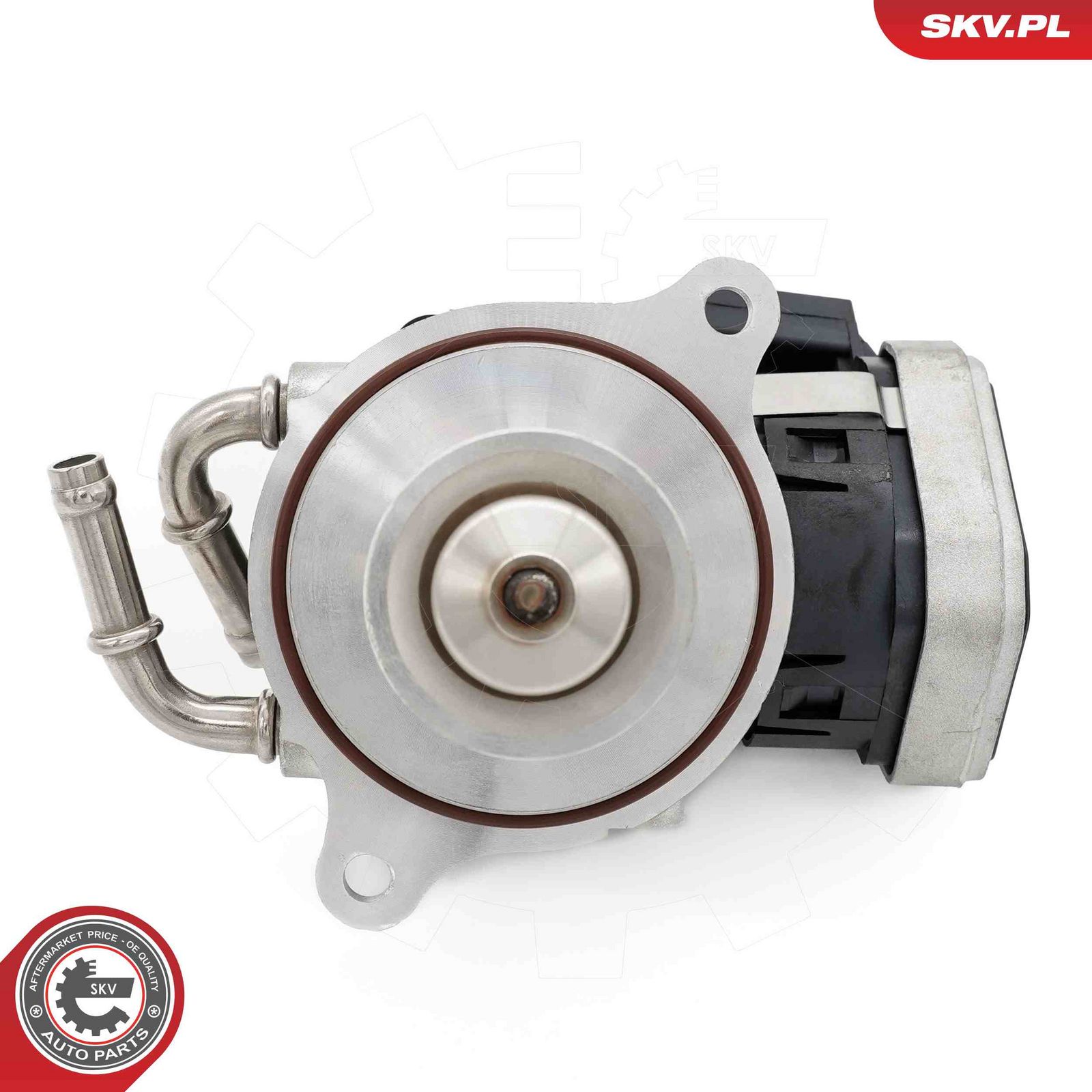EGR Valve-1