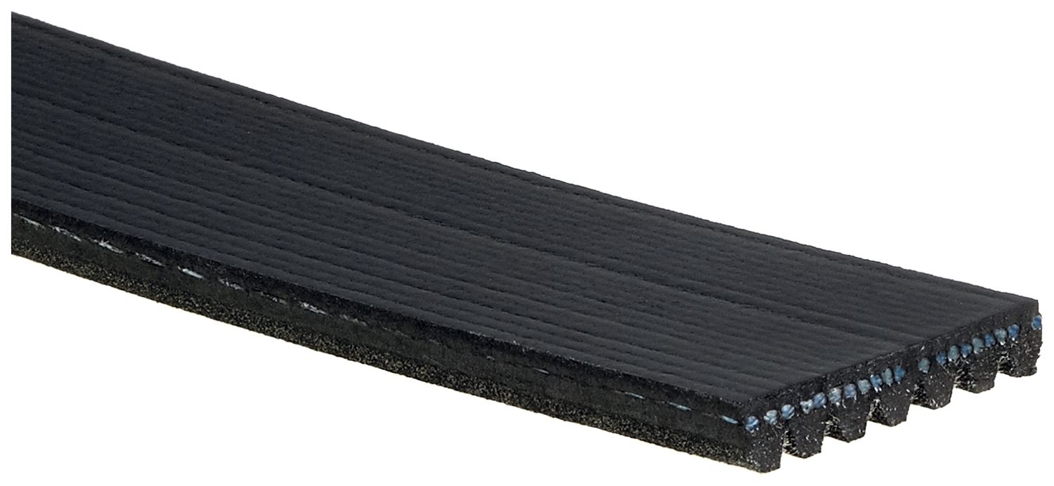 V-ribbed Belt-1