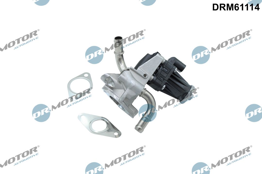 EGR Valve-1