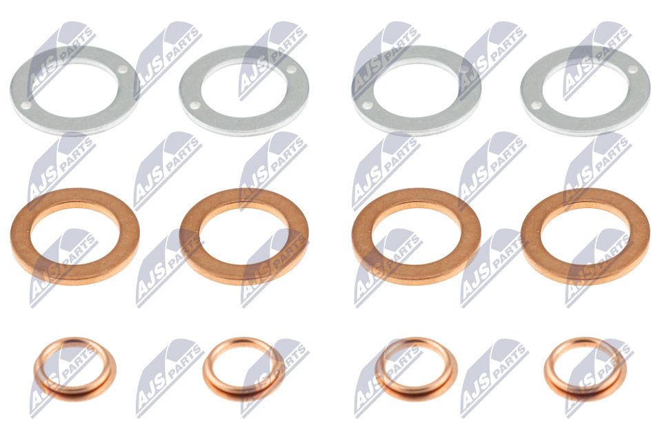 NTY BWP-MS-001 Seal ring, injector