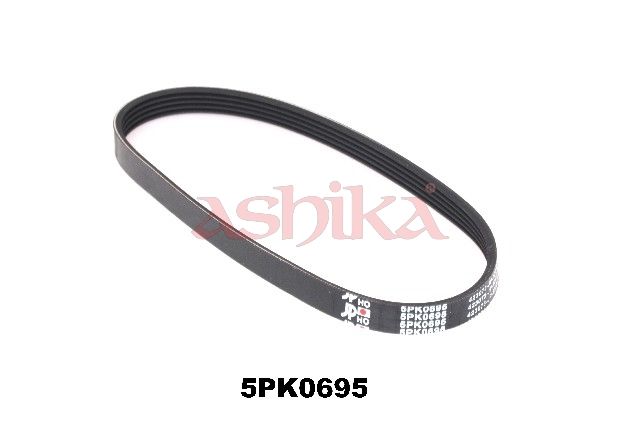 ASHIKA 112-5PK695 V-ribbed belt