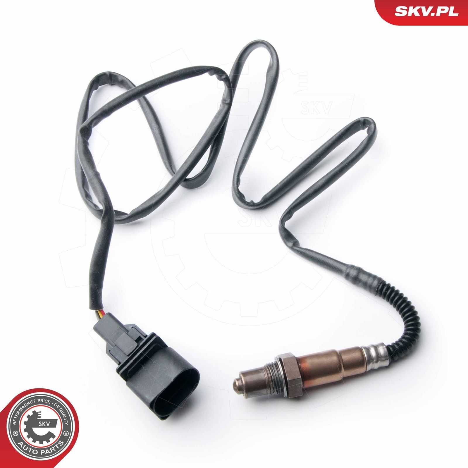 Oxygen Sensor-2