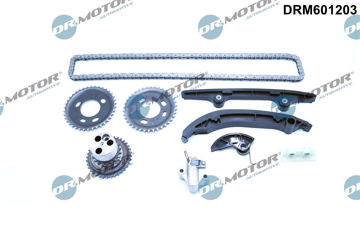 DR.MOTOR AUTOMOTIVE DRM601203 Timing chain kit