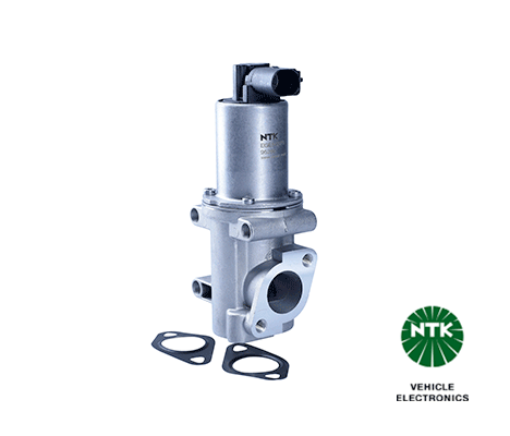 EGR Valve-1