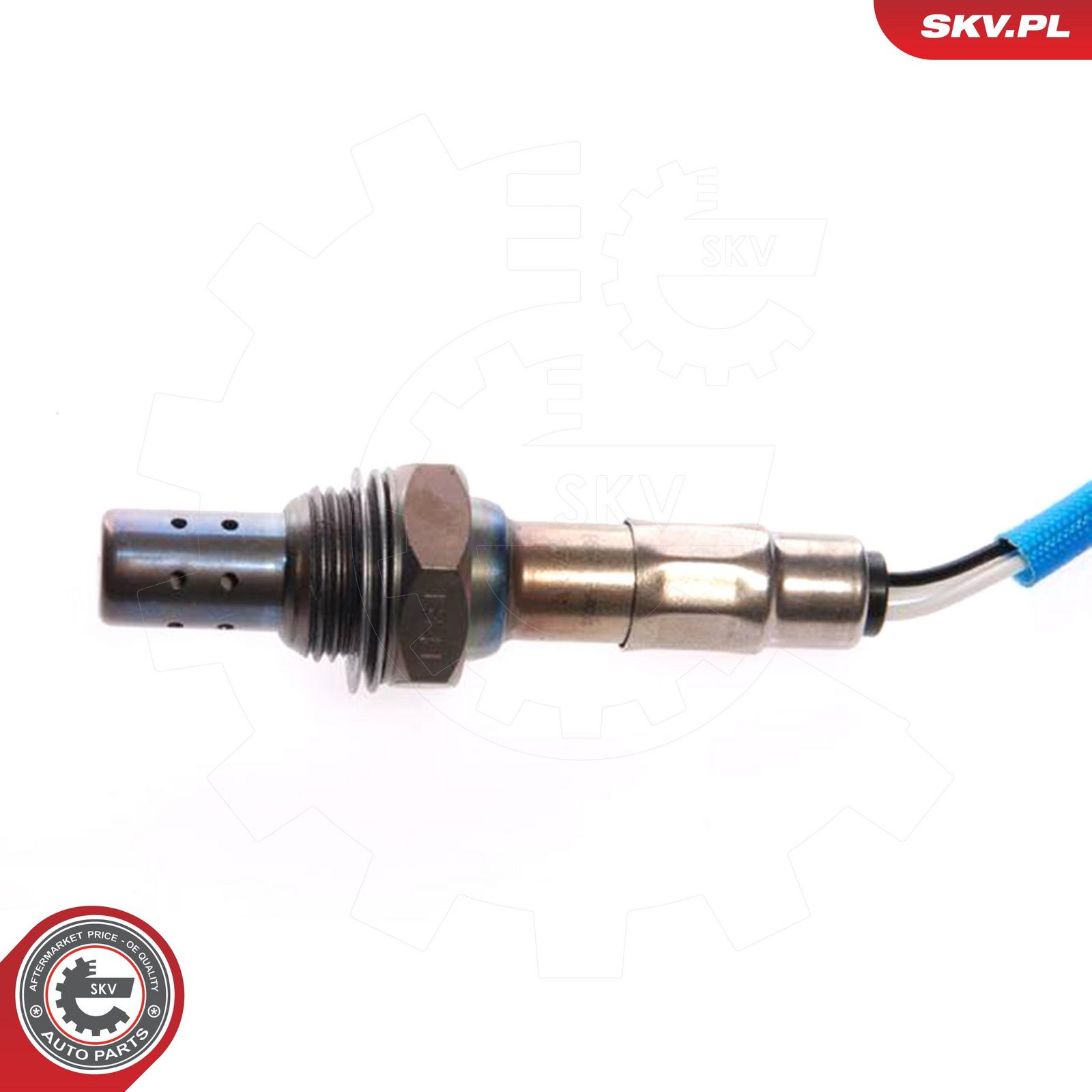 Oxygen Sensor-2