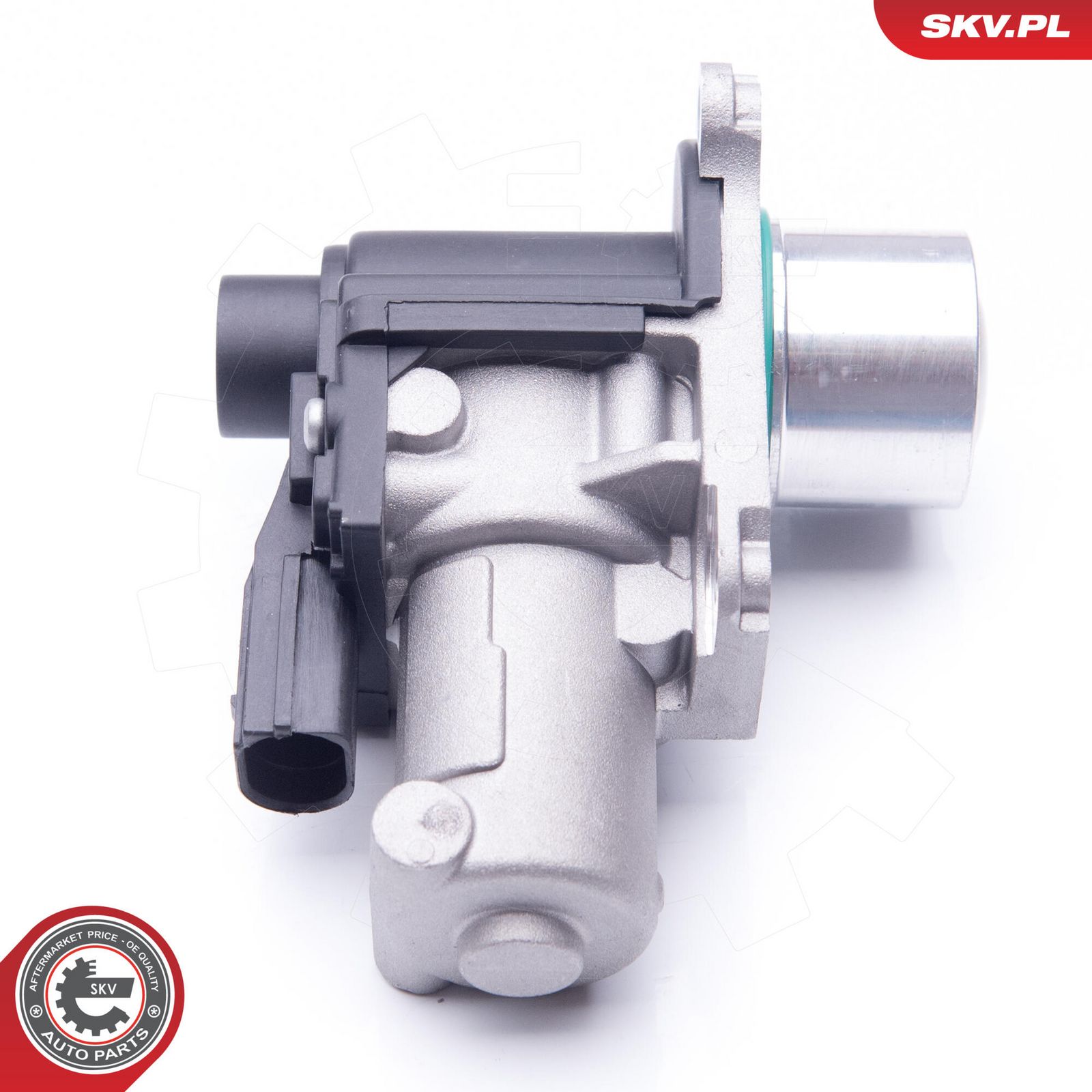 EGR Valve-1