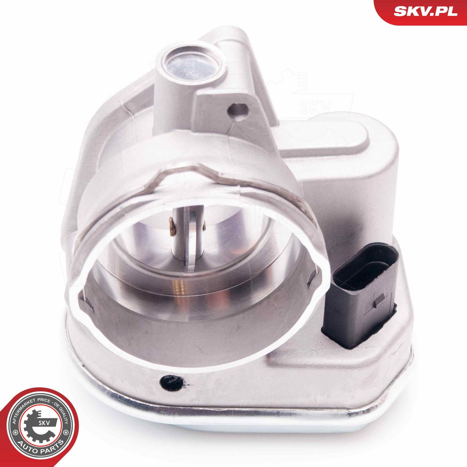 ESEN SKV 12SKV055 Throttle body