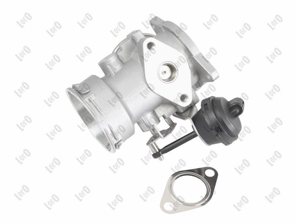 EGR Valve-1