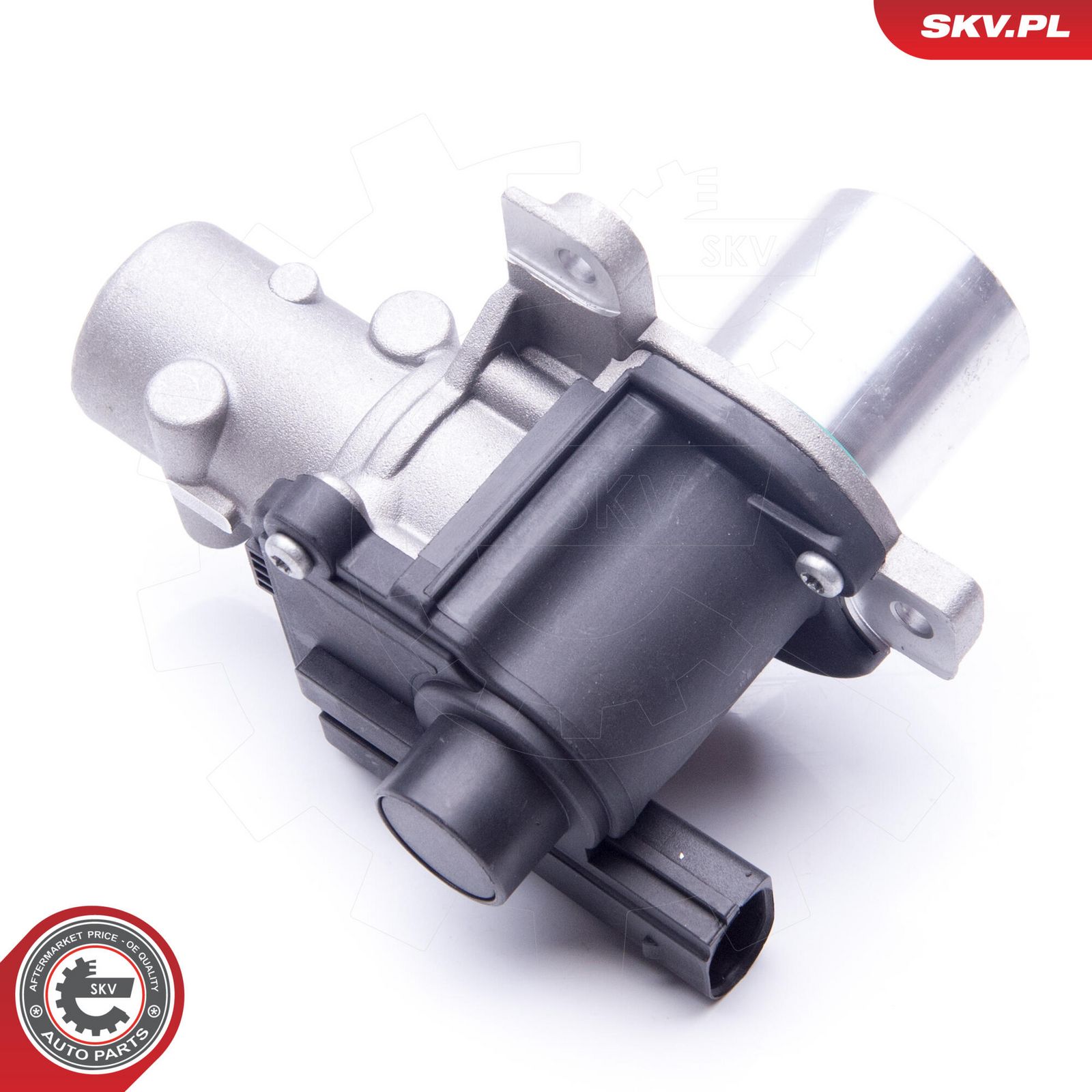 EGR Valve-2