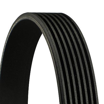 V-ribbed Belt