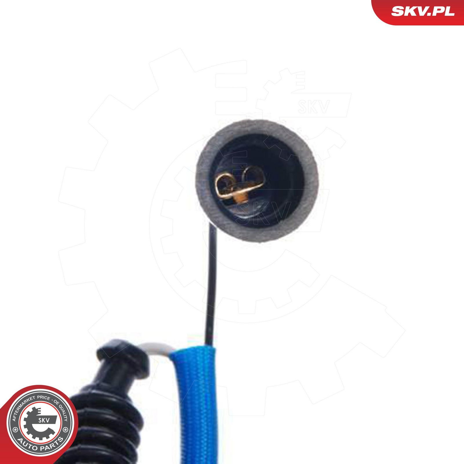 Oxygen Sensor-1
