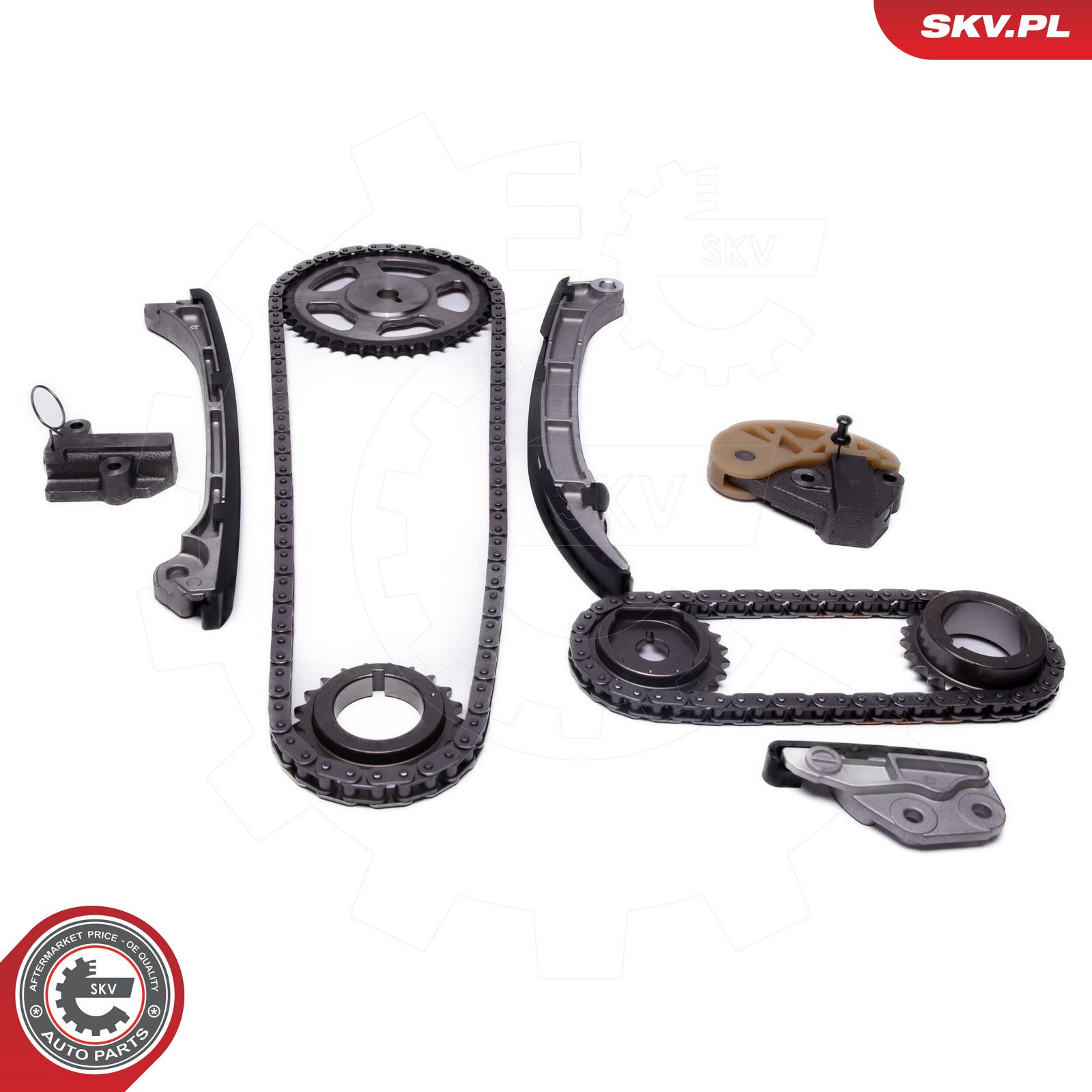 ESEN SKV 21SKV250 Timing chain kit