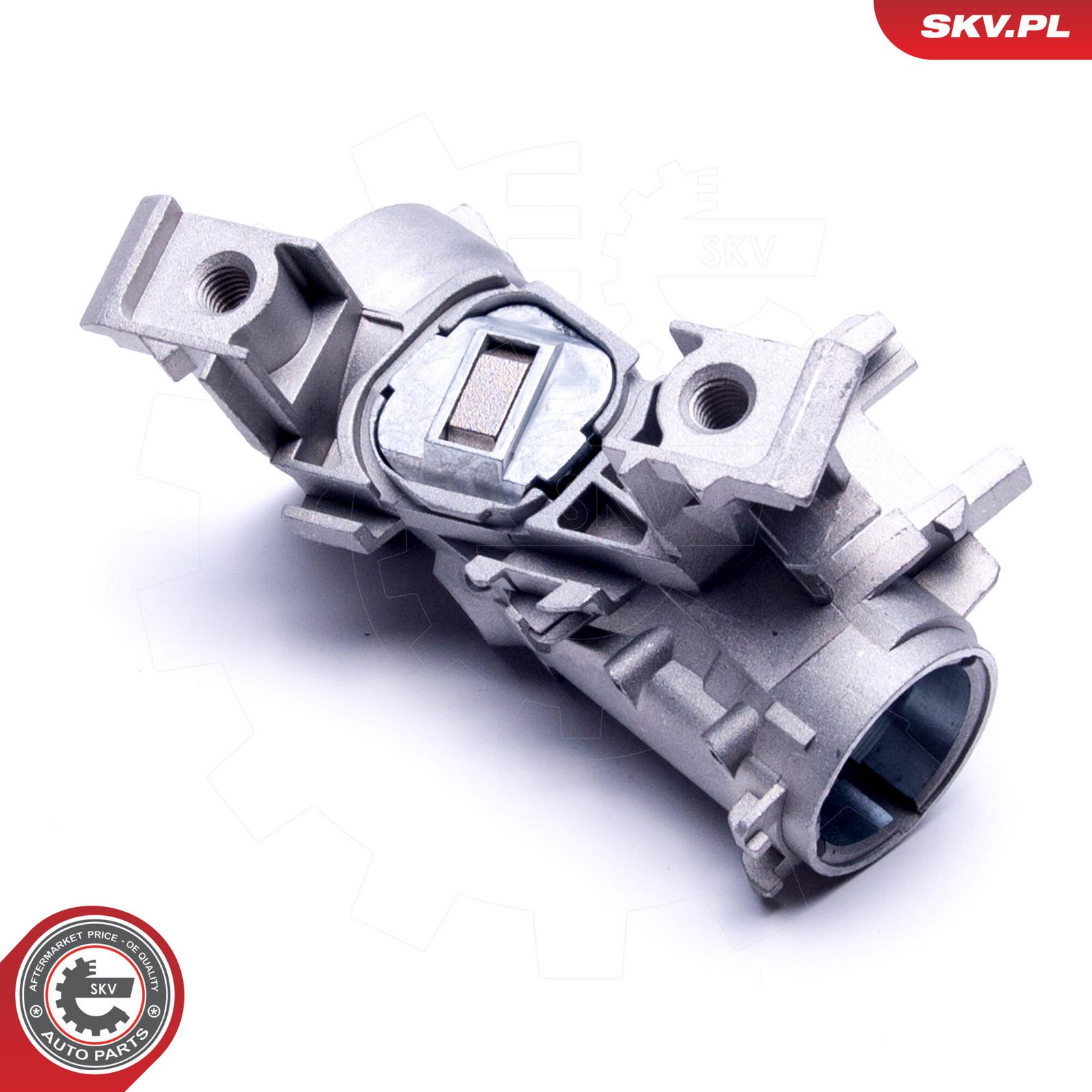 Steering Lock-1